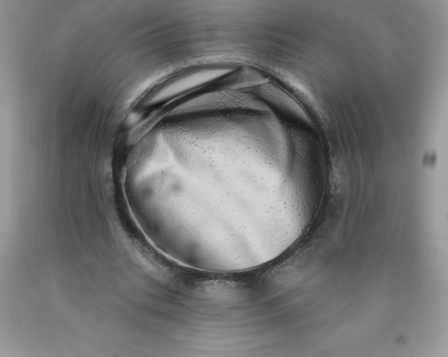 X0000090440535200707272156