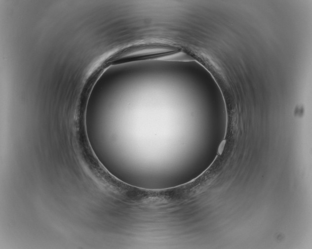 X0000090440536200707272156