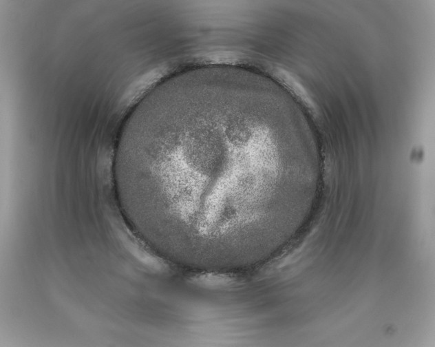 X0000090440537200707272156