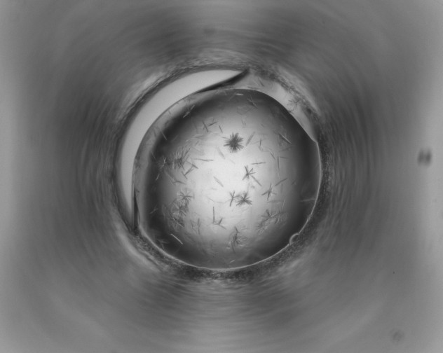 X0000090440538200707272156