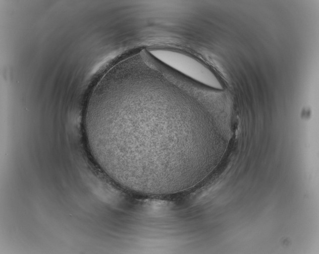 X0000090440539200707272156