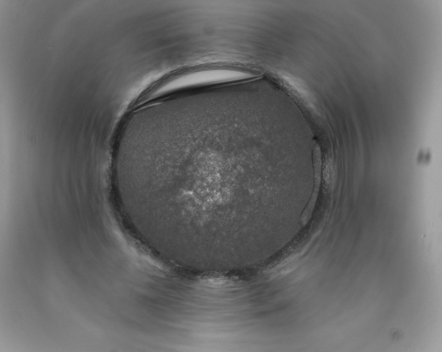 X0000090440540200707272156