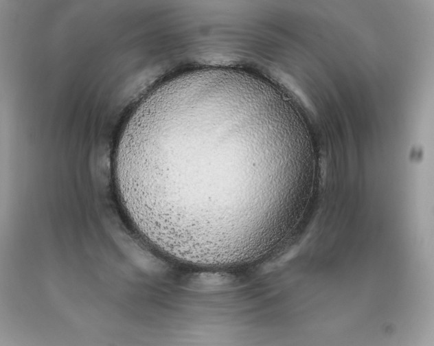 X0000090440541200707272156