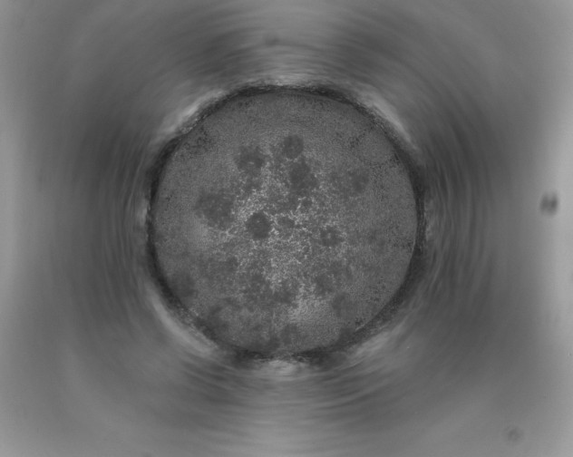 X0000090440542200707272156