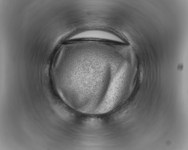 X0000090440543200707272157