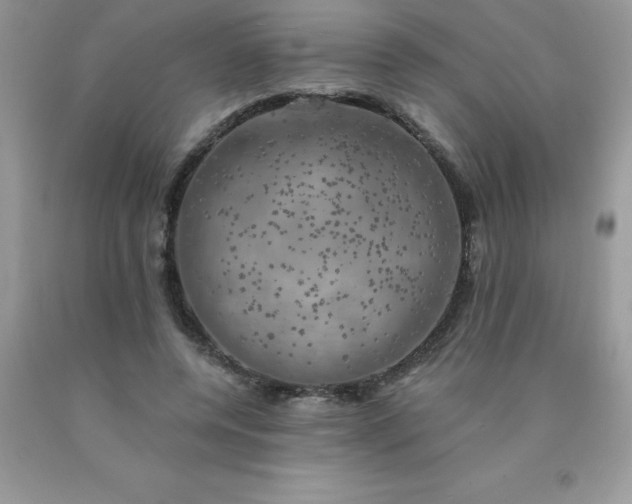 X0000090440544200707272157