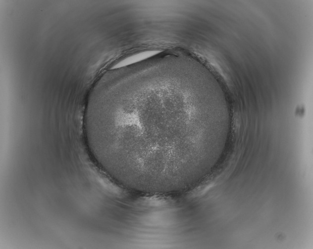 X0000090440545200707272157