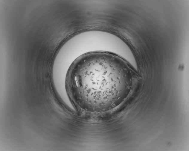 X0000090440546200707272157