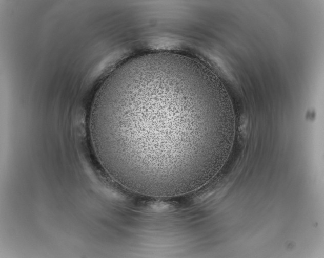 X0000090440547200707272157