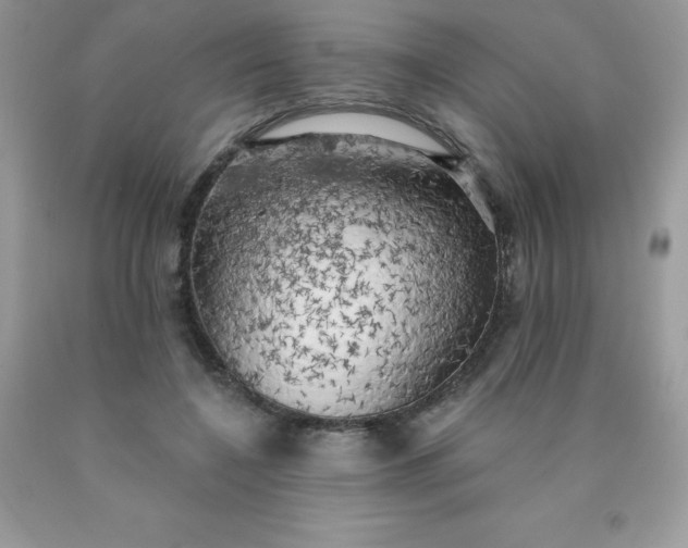 X0000090440548200707272157