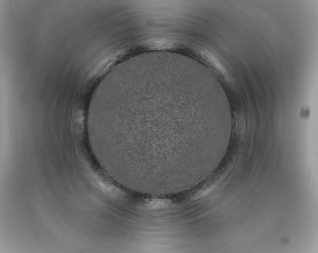 X0000090440549200707272157