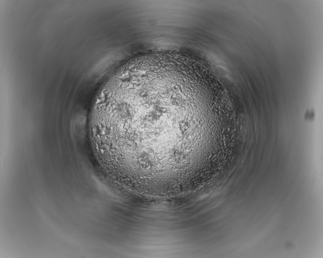 X0000090440550200707272157