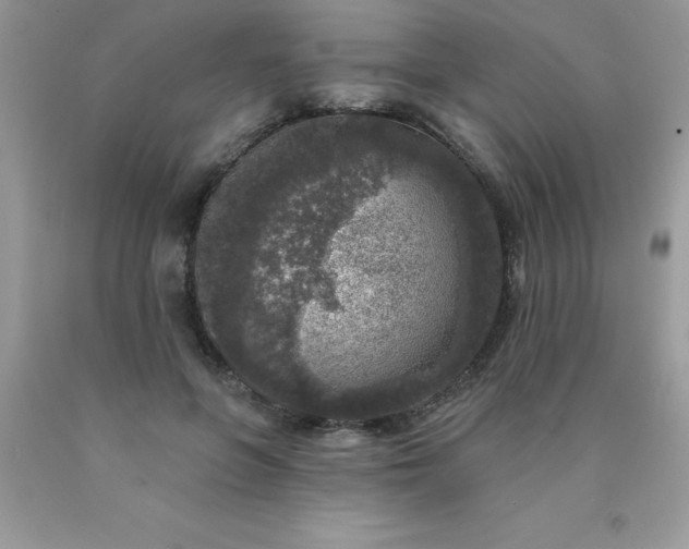 X0000090440551200707272157