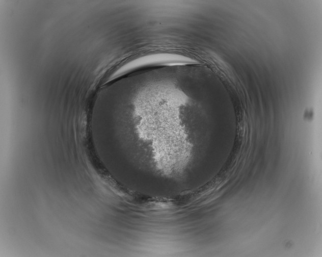 X0000090440552200707272157