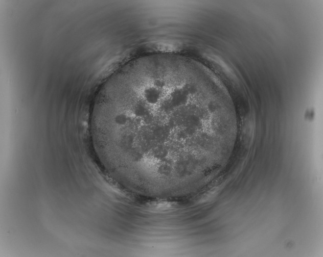 X0000090440553200707272157