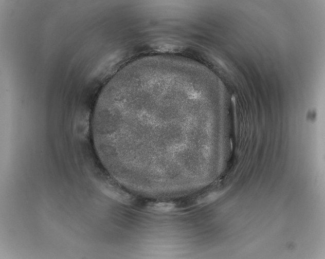 X0000090440554200707272157