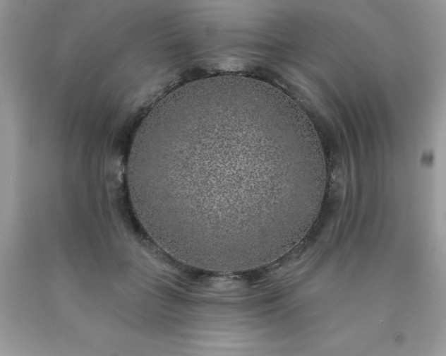 X0000090440555200707272157