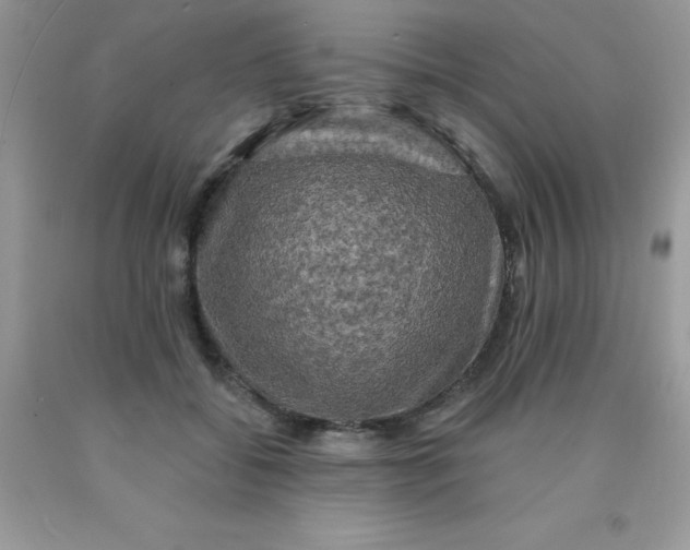 X0000090440556200707272157