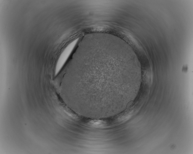 X0000090440557200707272157