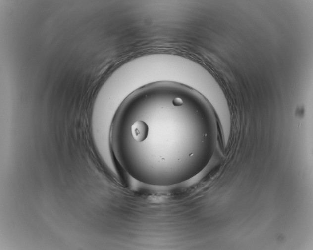 X0000090440560200707272157