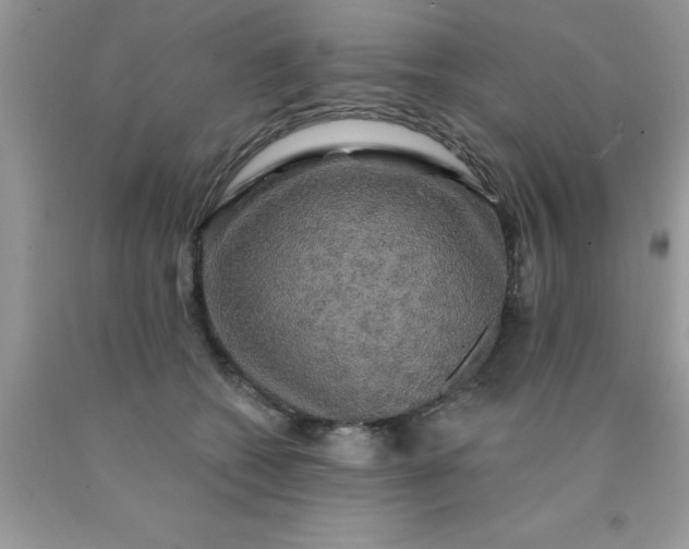 X0000090440562200707272157