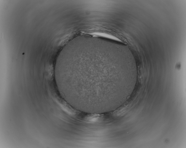 X0000090440563200707272157