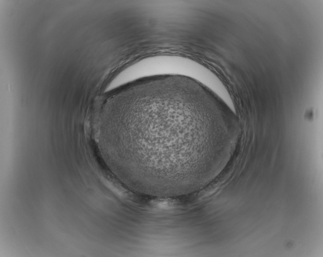 X0000090440564200707272157