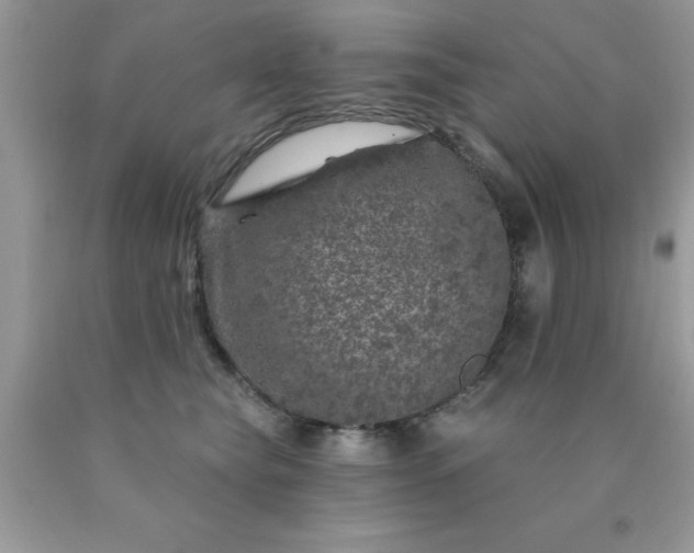 X0000090440565200707272157