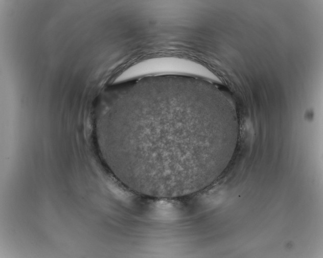 X0000090440566200707272157