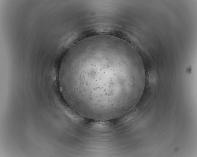 X0000090440567200707272157