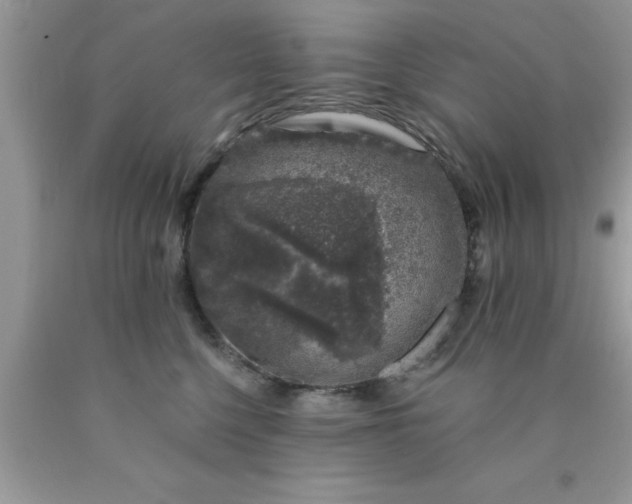 X0000090440568200707272157