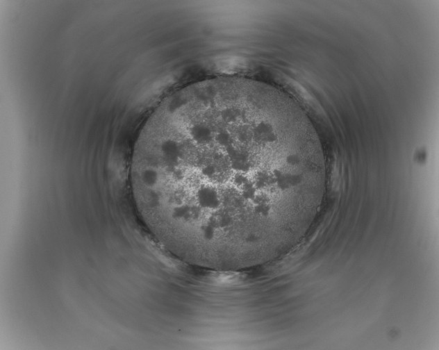 X0000090440569200707272157