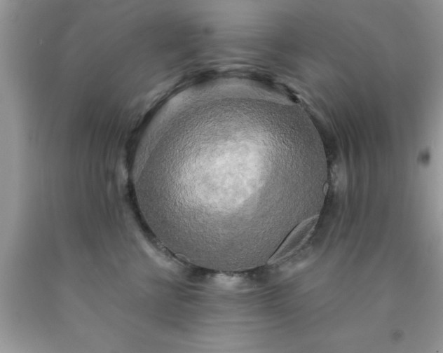 X0000090440570200707272157