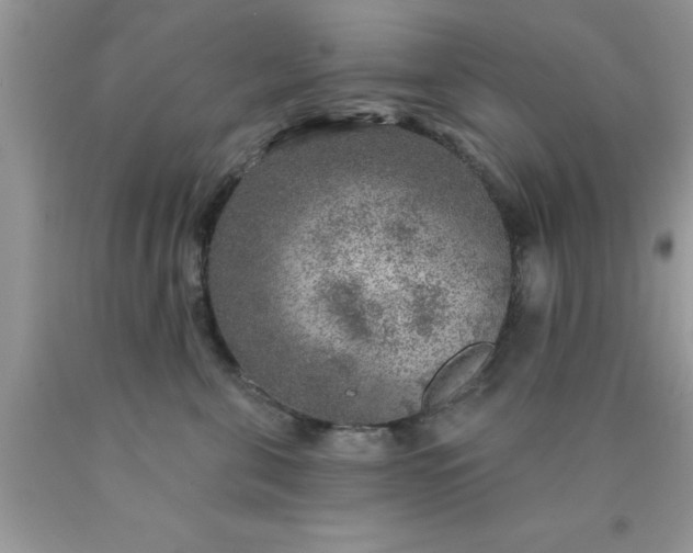 X0000090440571200707272157