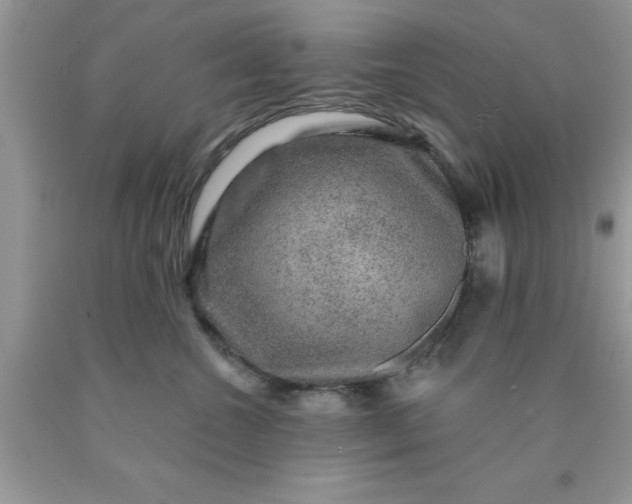 X0000090440572200707272157