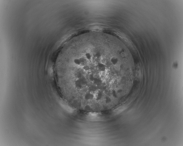 X0000090440573200707272157