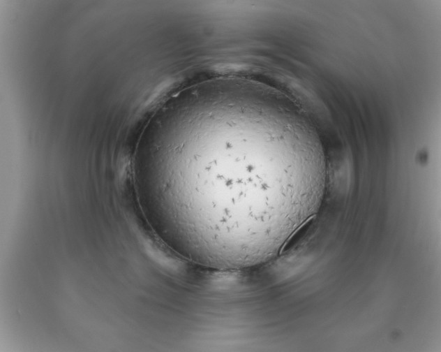 X0000090440574200707272157