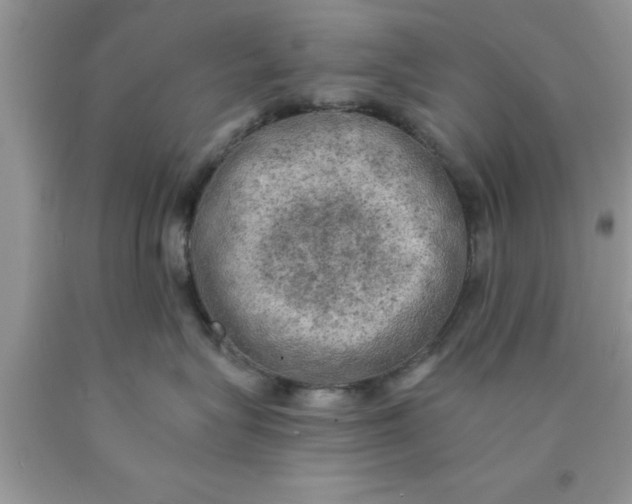 X0000090440575200707272157