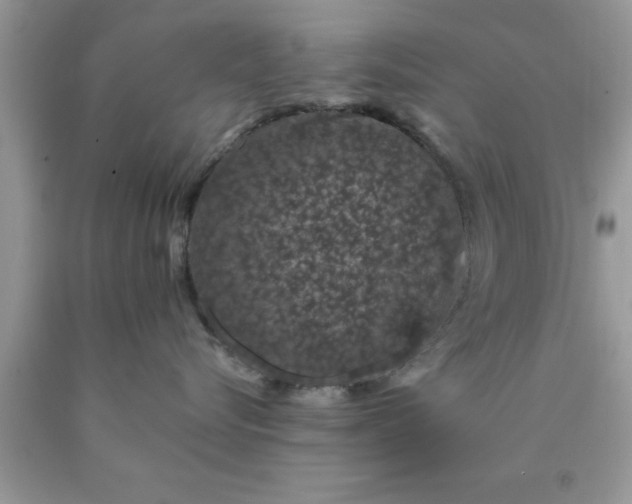 X0000090440576200707272157