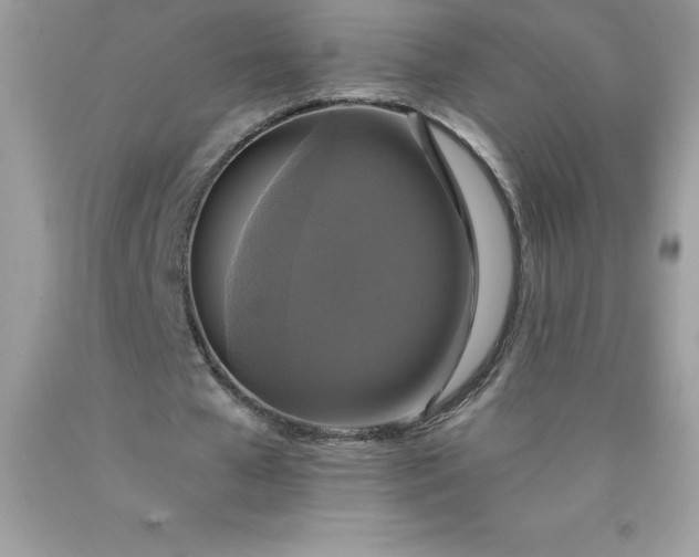 X0000090440577200707272156