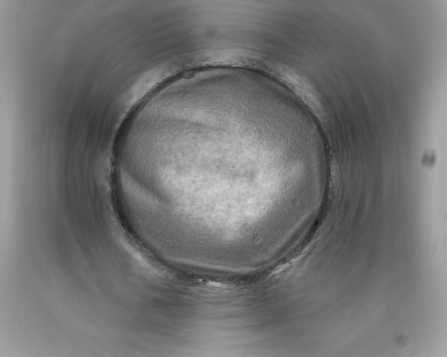 X0000090440578200707272156