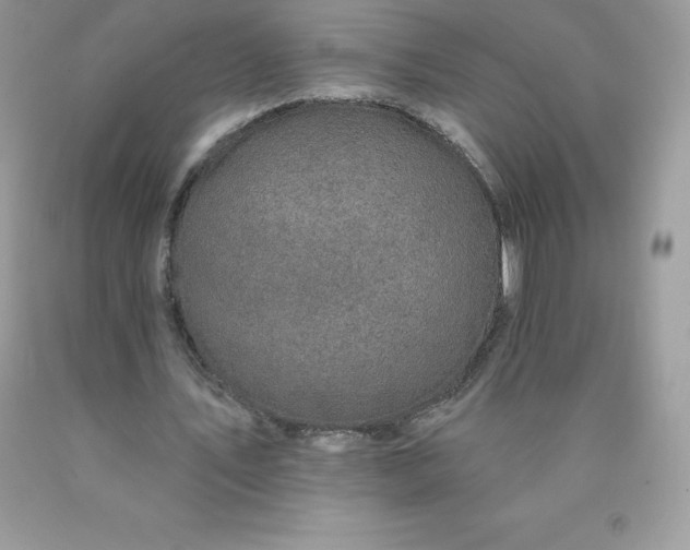 X0000090440579200707272156