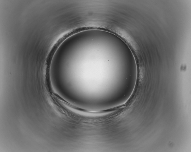 X0000090440580200707272156