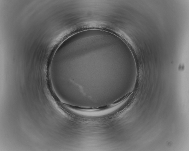 X0000090440581200707272156