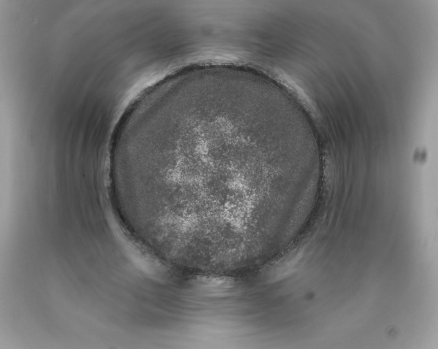 X0000090440582200707272156