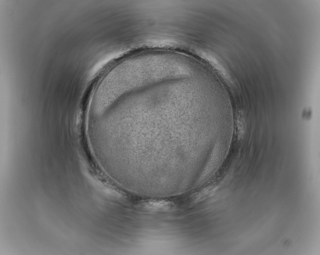 X0000090440583200707272156