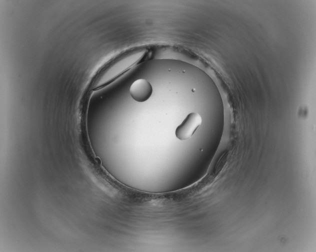 X0000090440584200707272156