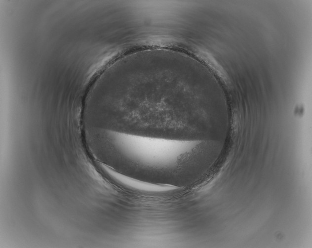 X0000090440585200707272156