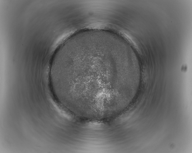 X0000090440586200707272156