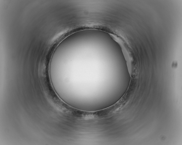 X0000090440587200707272156